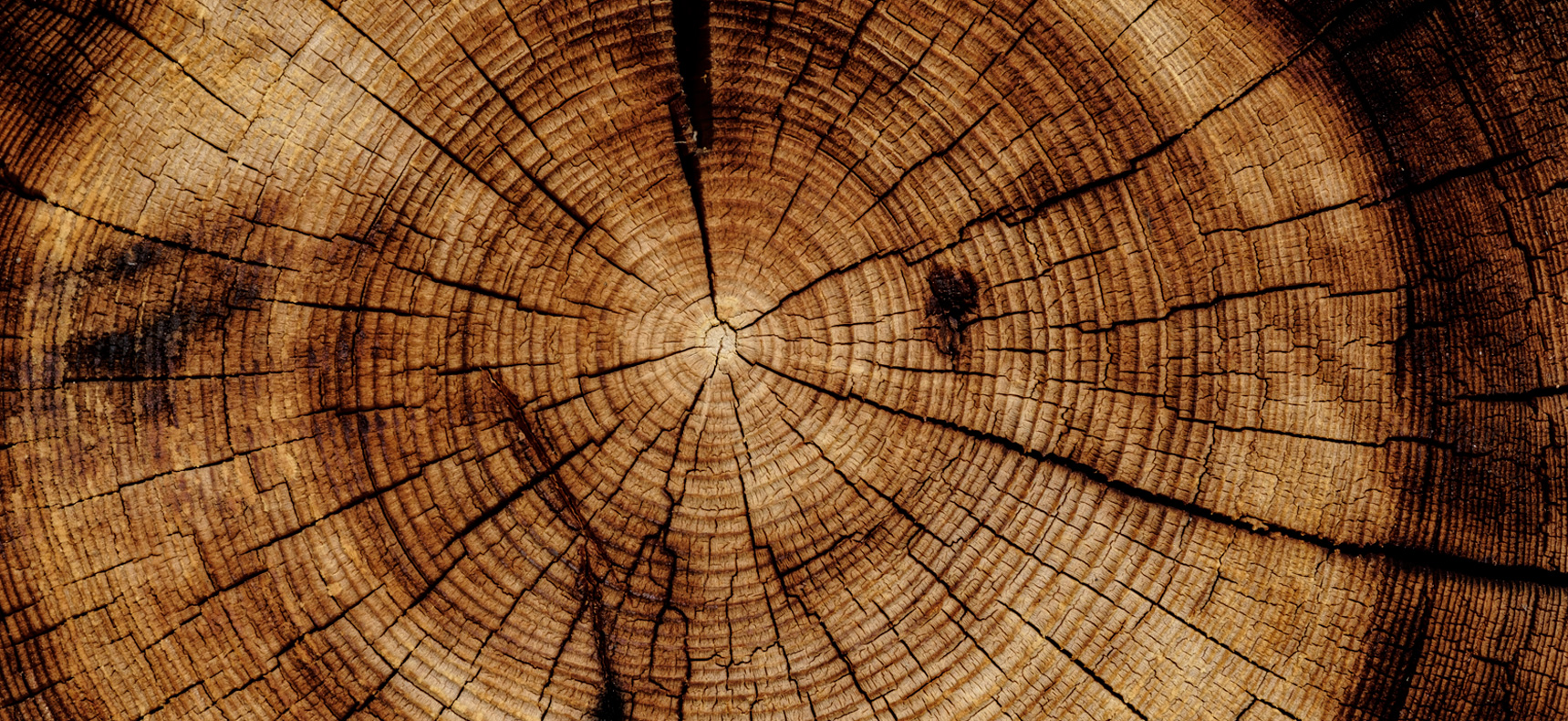 CDL_LAMELLARE_SERRA_01new